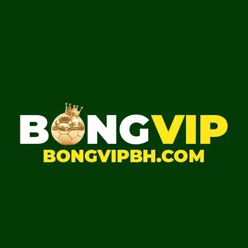 BongVip Nha Cai