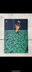 Paddy Question