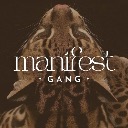 Manifest Gang