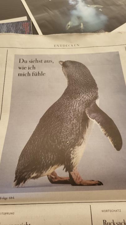 Marianne Ludwig-Simon