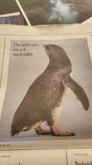 Marianne Ludwig-Simon