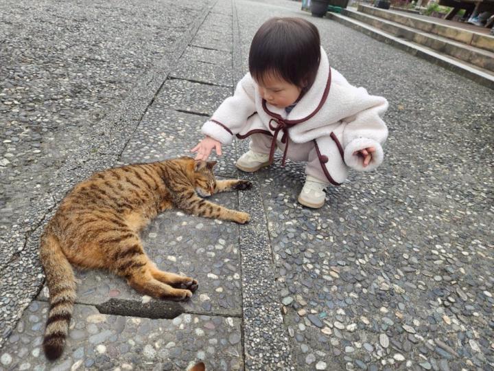 安琦 薛