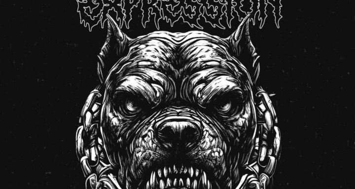 Strength Expression Training