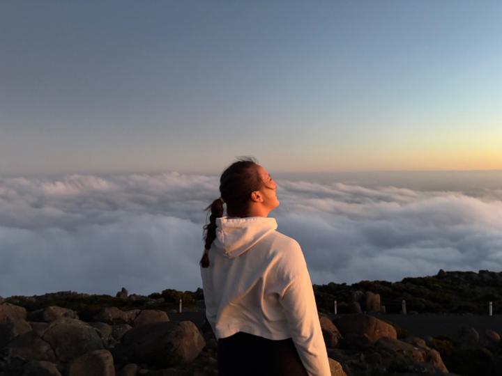 Thaís Rocha Guimarães