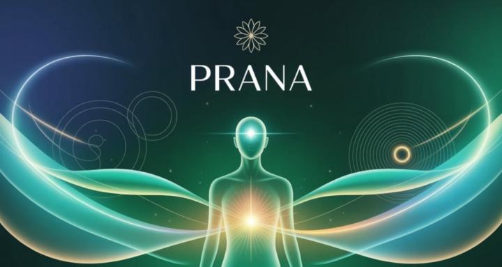 ✨PRANA Comunity✨