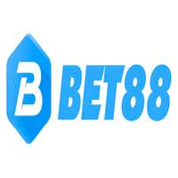 Betvn Pro