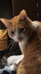 Sergio Jesus Avila Salazar