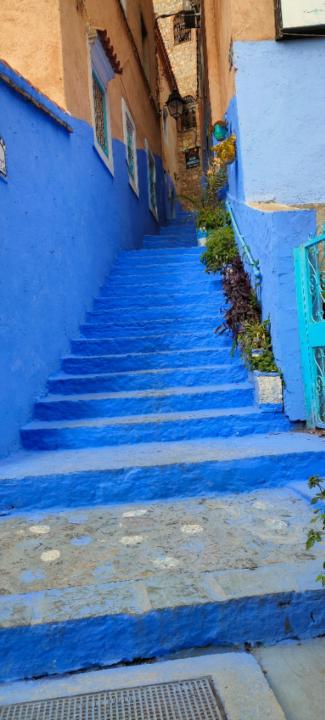 Riad El mtioui