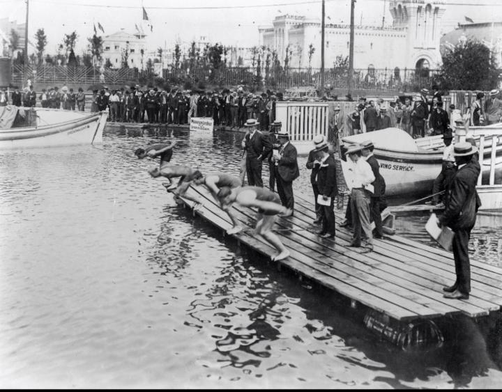 لمحة عن تاريخ السباحة 