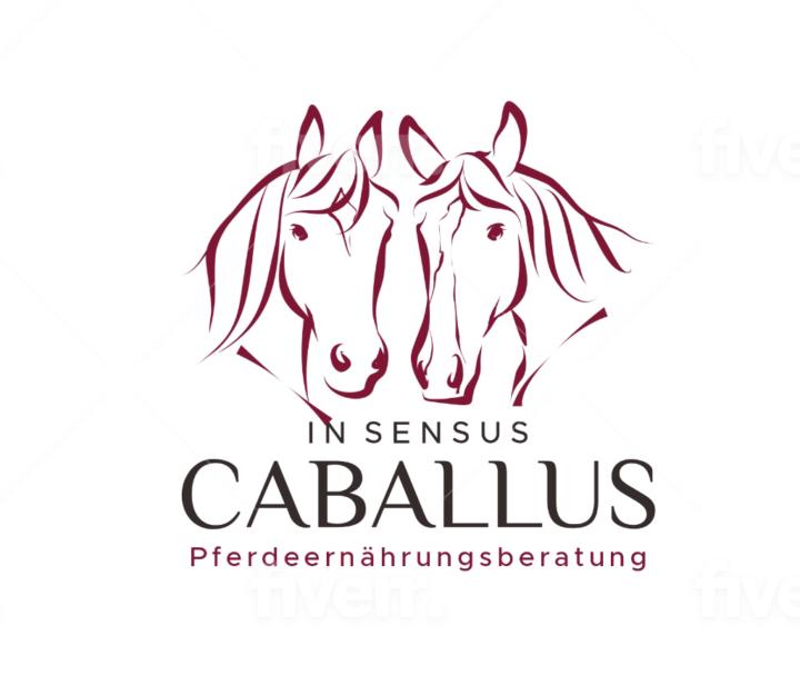 In sensus caballus MilenaDorn