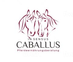 In sensus caballus MilenaDorn