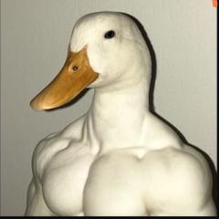 Physique Maxxing