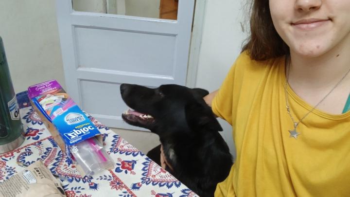 Valentina Giovagnini