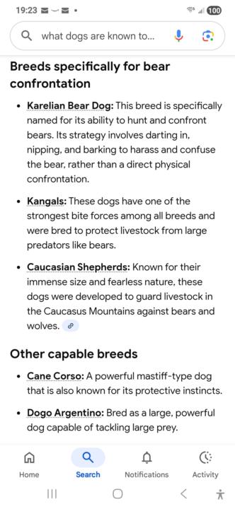 Bearkiller Dog Master