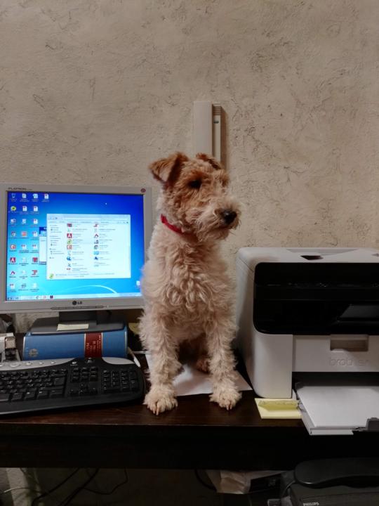 Para abrir nuevas vías de negocio