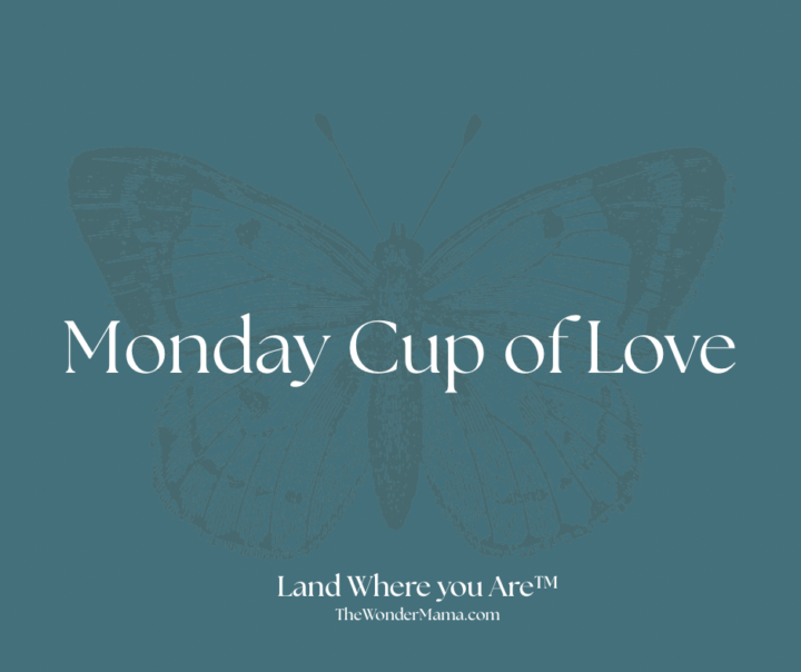 Monday cup of love | What is the lie you’re unlearning?