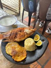 Julian Andres Guevara Sierra