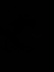 Марія Громадська