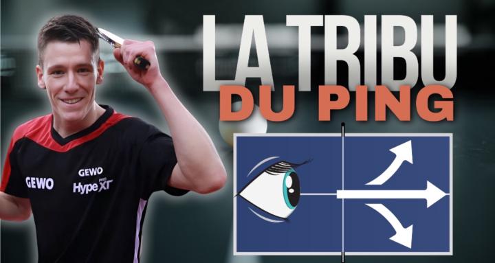 La Tribu Du Ping