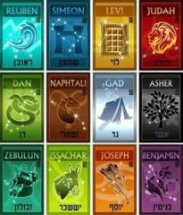 Claudio Seron flores