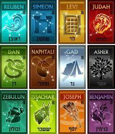 Claudio Seron flores