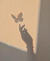 Бямбацэрэн Олонбаяр