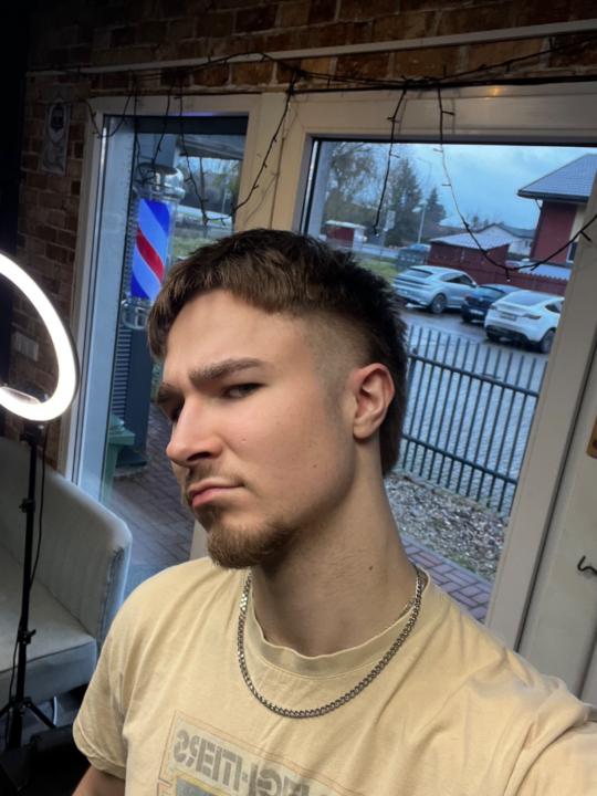 Dovydas Radzevičius