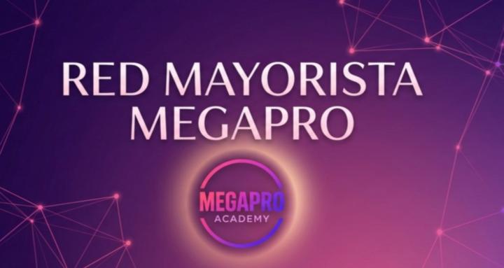 Red Mayorista MegaPro