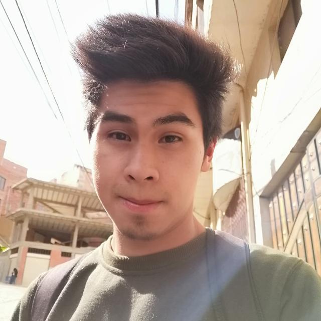 Ariel Fernando Choque Baptista