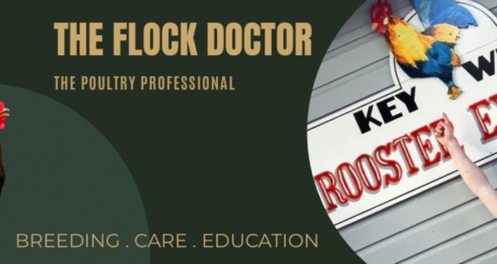 THE FLOCK DOCTOR 