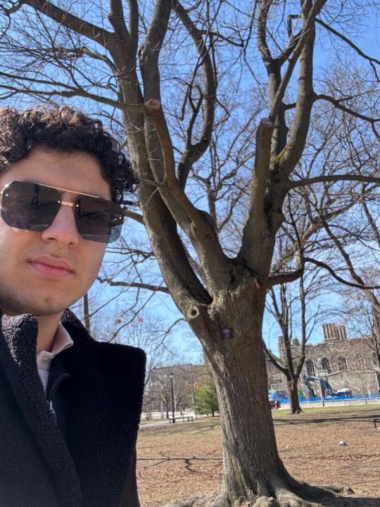 Arsham Mirenayat