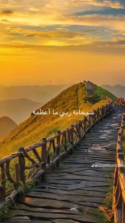 Amer Alwgeh