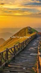 Amer Alwgeh