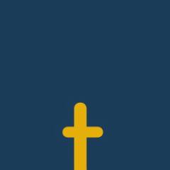 Test Disciplebibleio