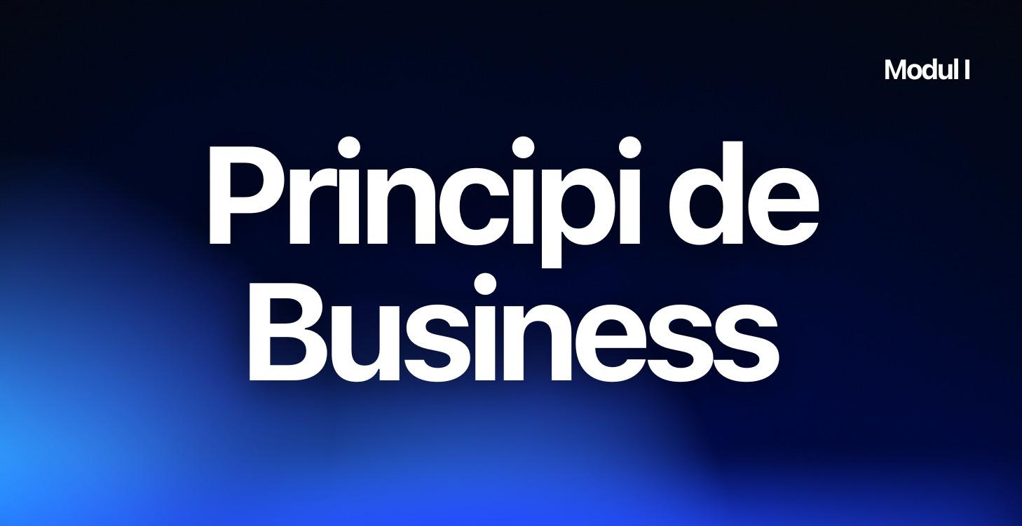 Modul I - Principi de Business