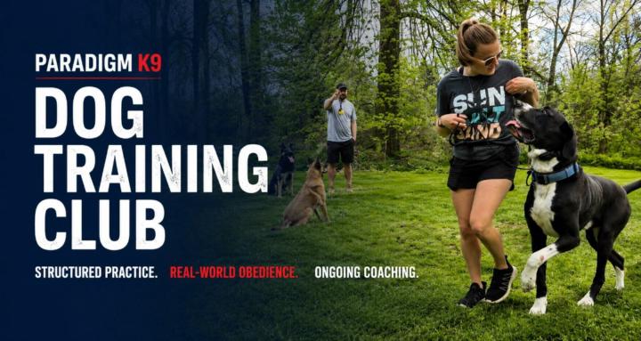 Paradigm K9 Dog Training Club