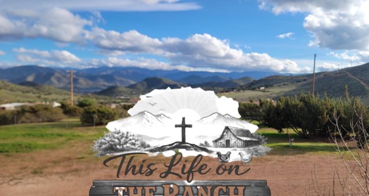 This Life on the Ranch