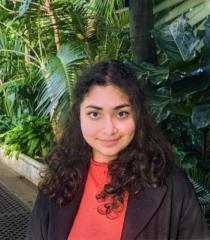 Teesta Maulik