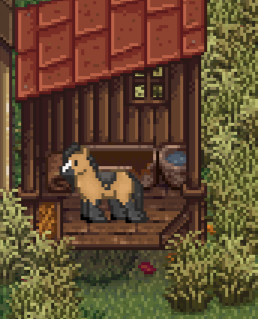 Meet my horse Spirit 