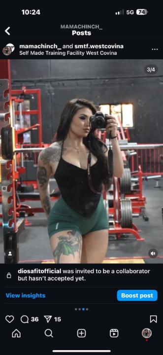 Miranda Chinchilla