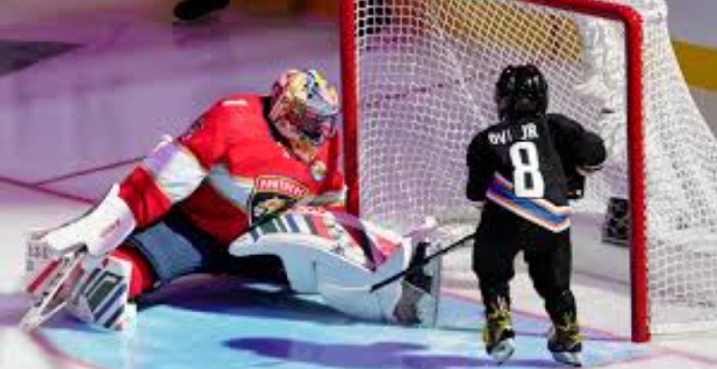 Übergang zum Profi Eishockey