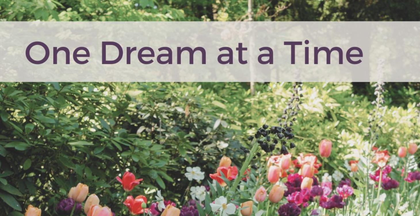 One Dream at a Time