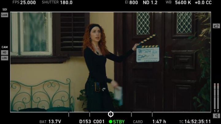 Victoria Chatzigiannaki