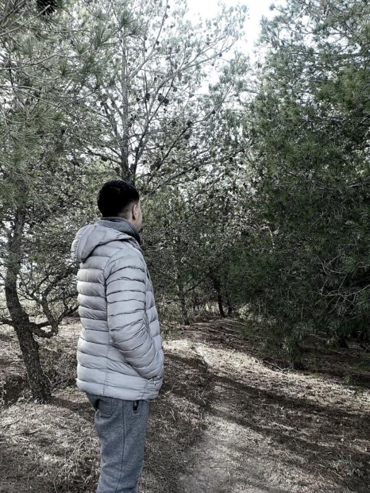 Mohammed Amine