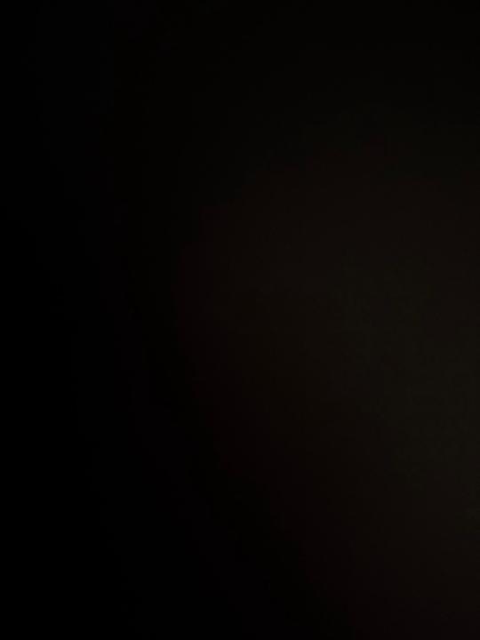 Alessandra Verfaillie