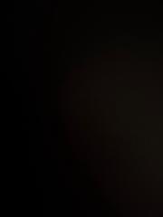 Alessandra Verfaillie