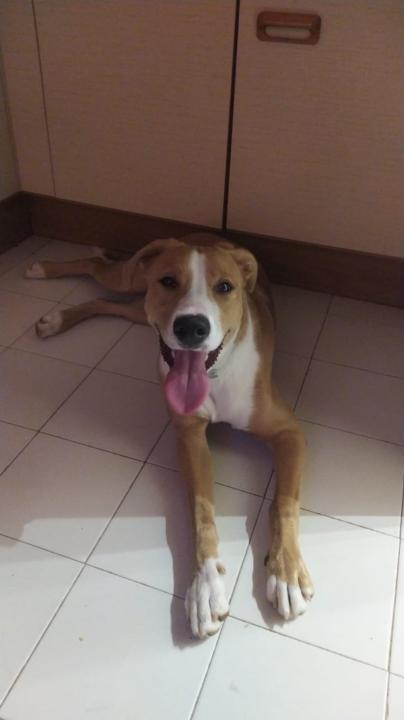 Rocio Hernandez garcia