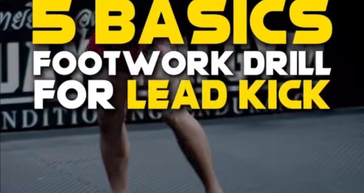 My Fighters Physique