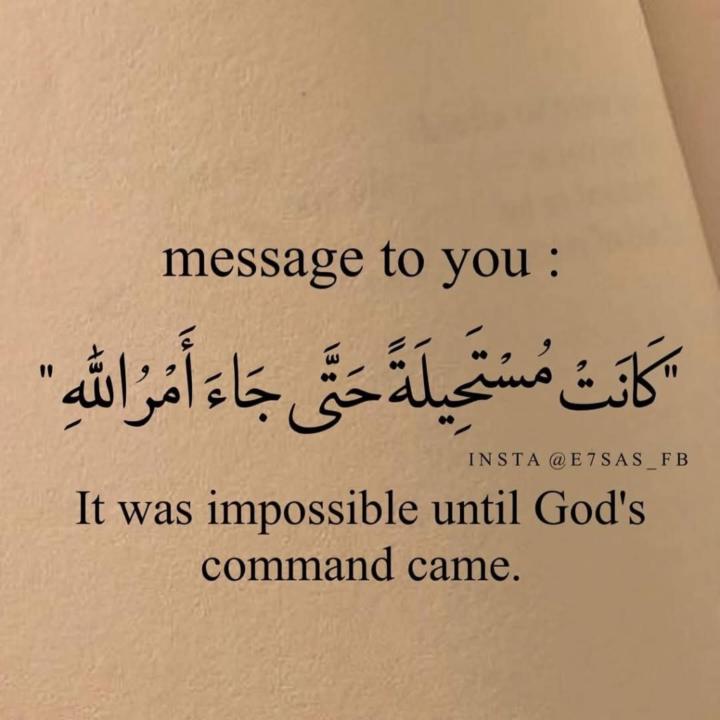 Rahma Youssef