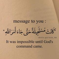 Rahma Youssef